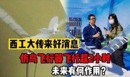 飞行器最新爆料消息,最新飞行器技术突破与未来展望