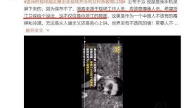 雪莲员工爆料视频曝光,雪莲员工爆料视频揭露惊人内幕