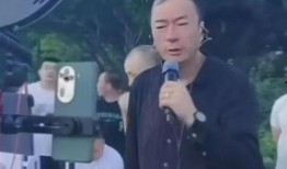 王霖被大哥爆料视频,揭秘背后真相