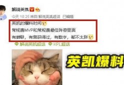 英凯爆料视频