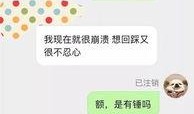 日本圈内人爆料视频大全,圈内人爆料视频大全深度解析