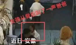 苏纪爸爸爆料后续视频大全,揭秘事件真相与幕后故事